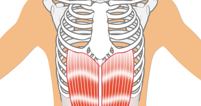 腹直筋離開 産後のママ お腹が戻らない